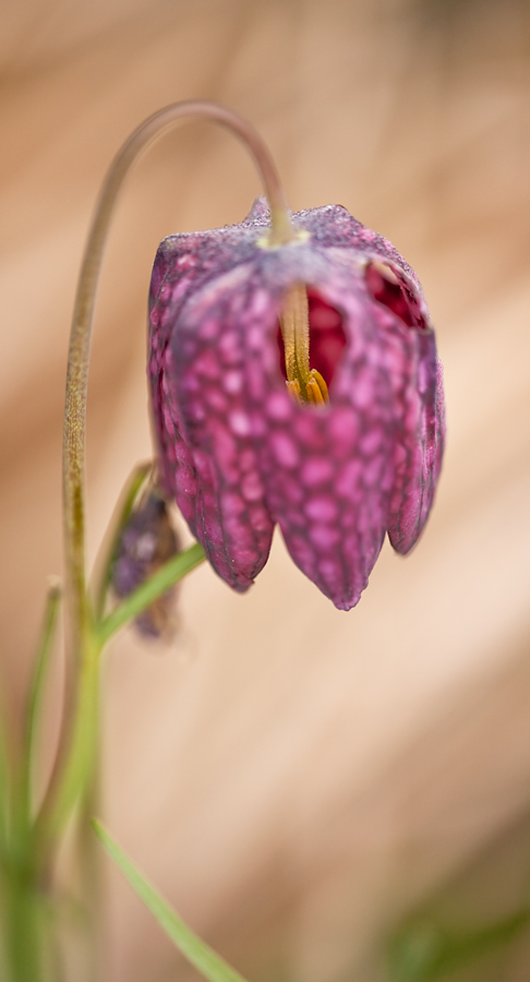 20110408_0800.jpg