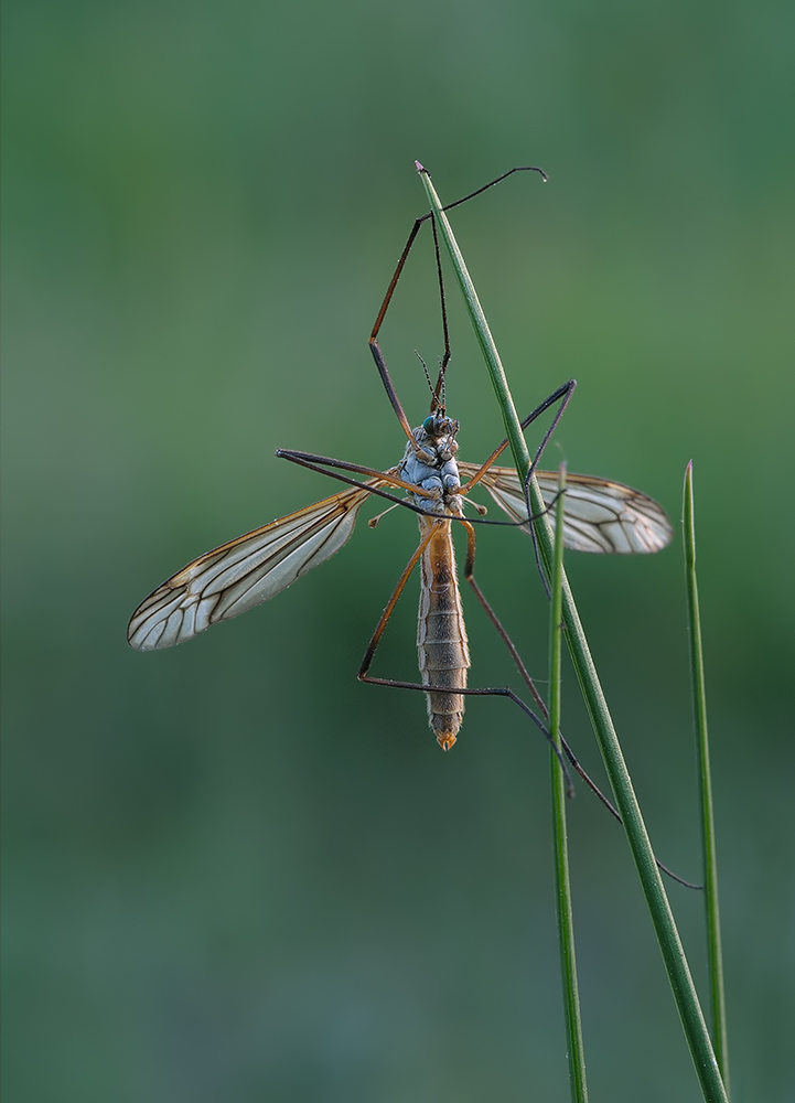 DSC_8040_023_ps_web.jpg