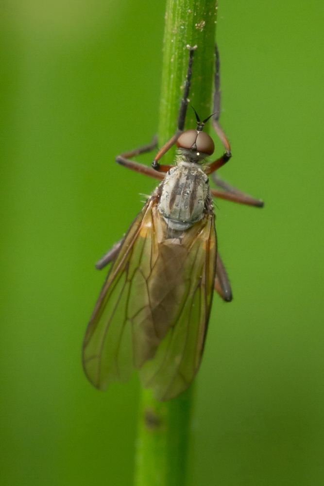 IMG_2638_Bildgröße ändern.jpg