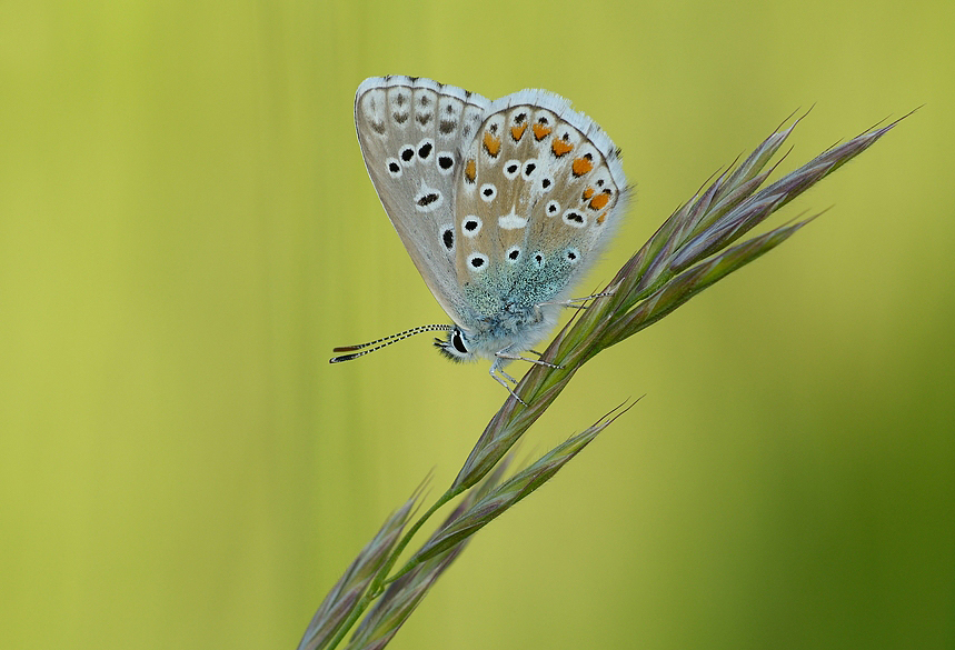 comp_DSC_4147.jpg