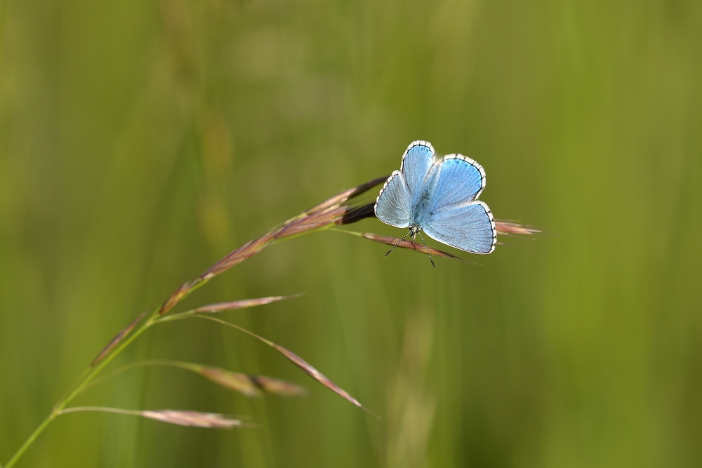comp_DSC_4139.jpg
