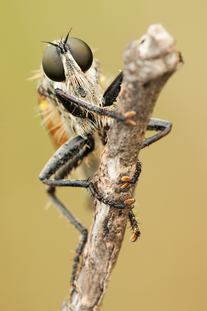 PG275925-F-11-Sec-3,2.jpg