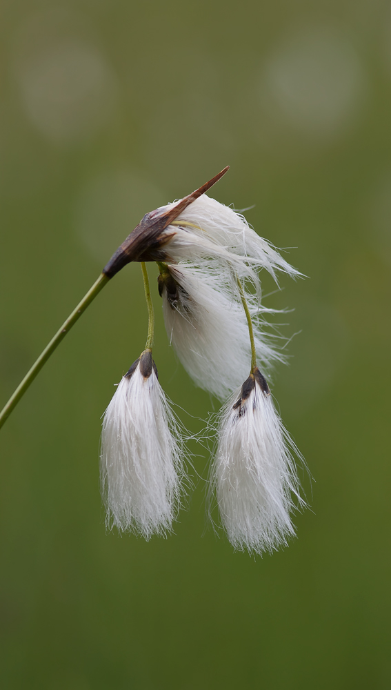 2011_06_08_0399_1tpx_v2.jpg