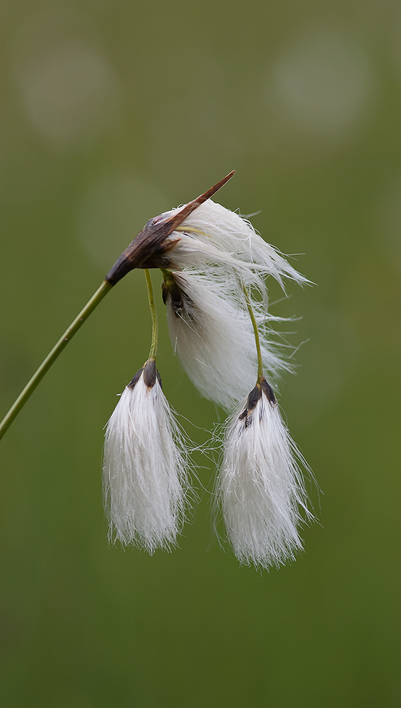 2011_06_08_0399_1tpx.jpg