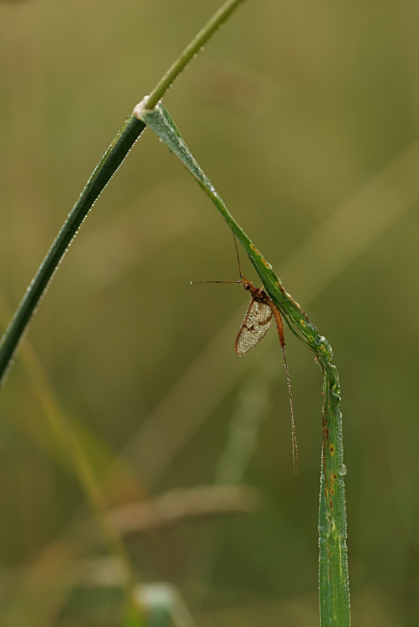 DSC04623.jpg