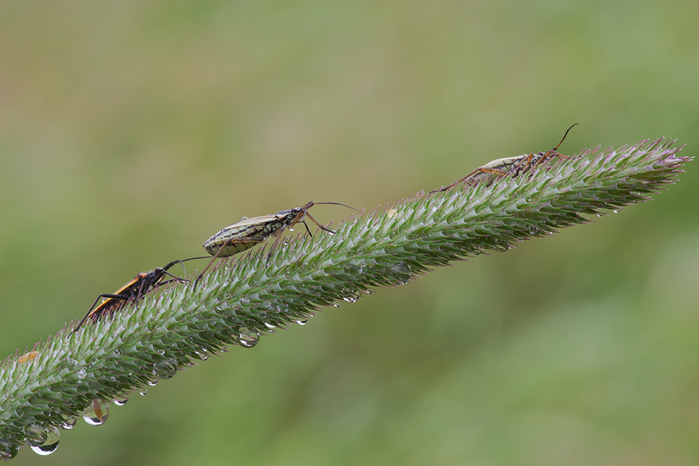 2011_06_17_0824.jpg