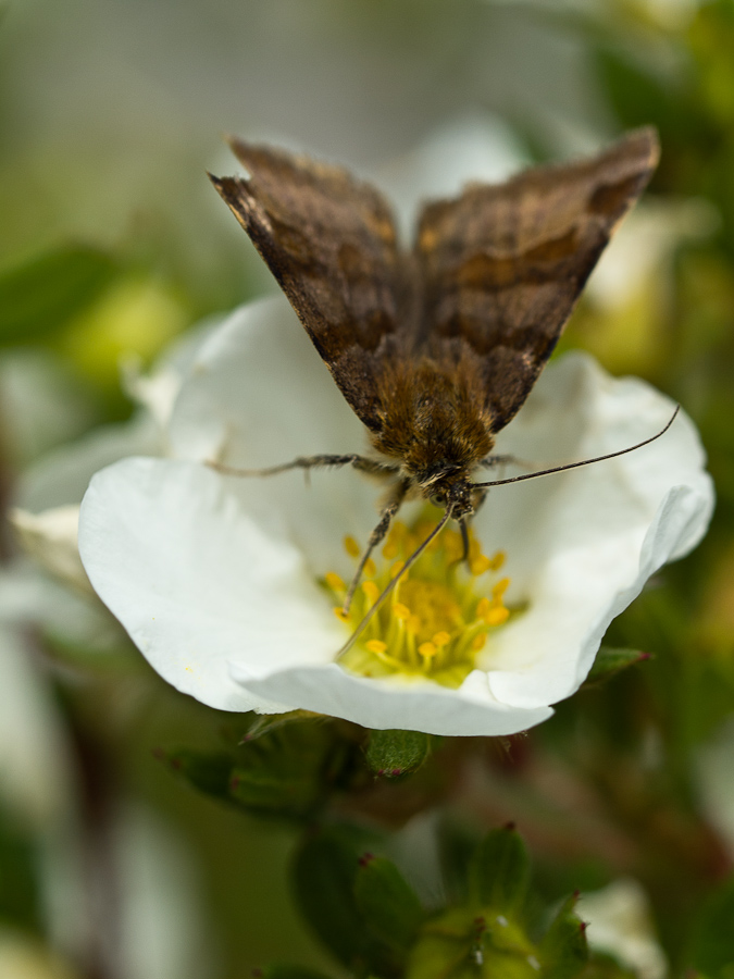 TKK20110629_007-1.jpg