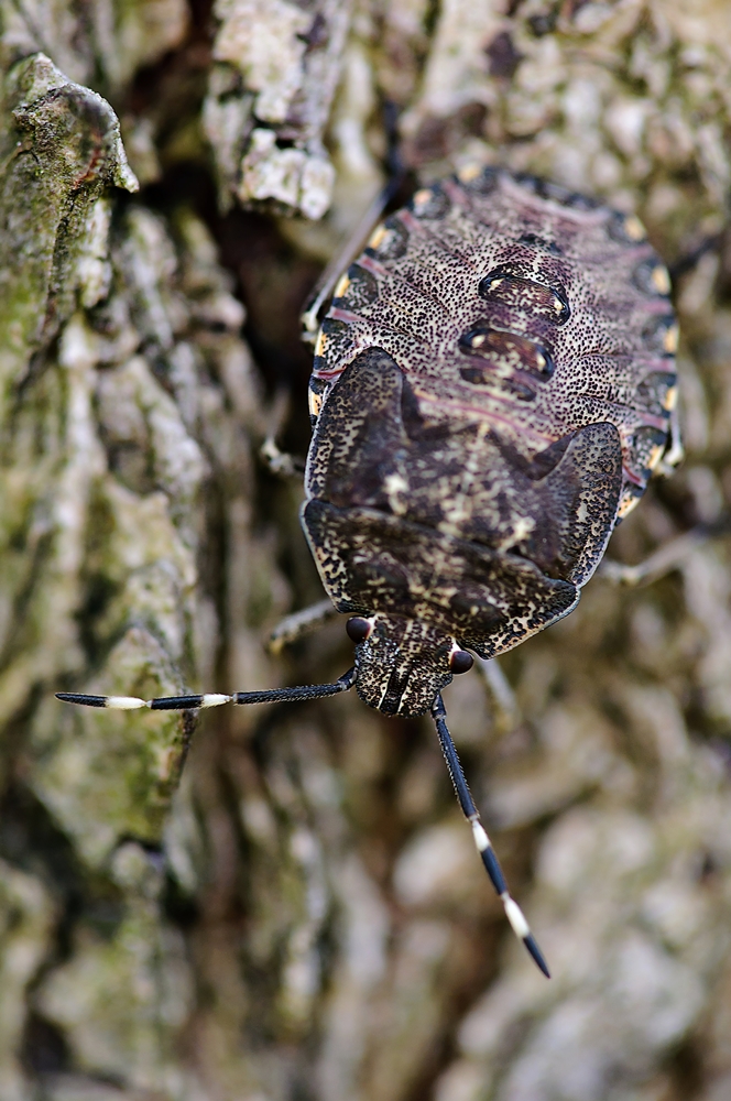 _DSC3616 Kopie verkl..jpg