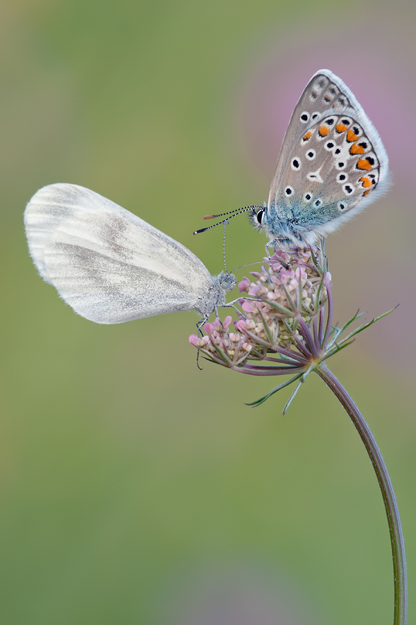 _DSC8682-Bearbeitet.jpg