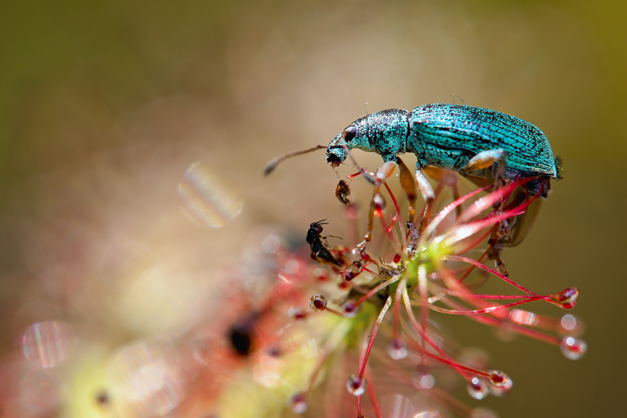 20110706_2141.jpg