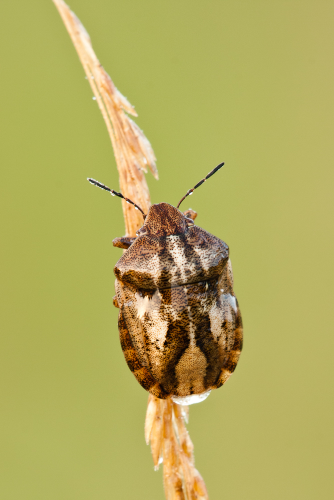 2011.08.21 05-43-52 6623.jpg