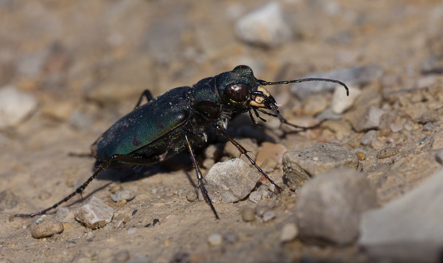 20110906-IMG_0021.jpg