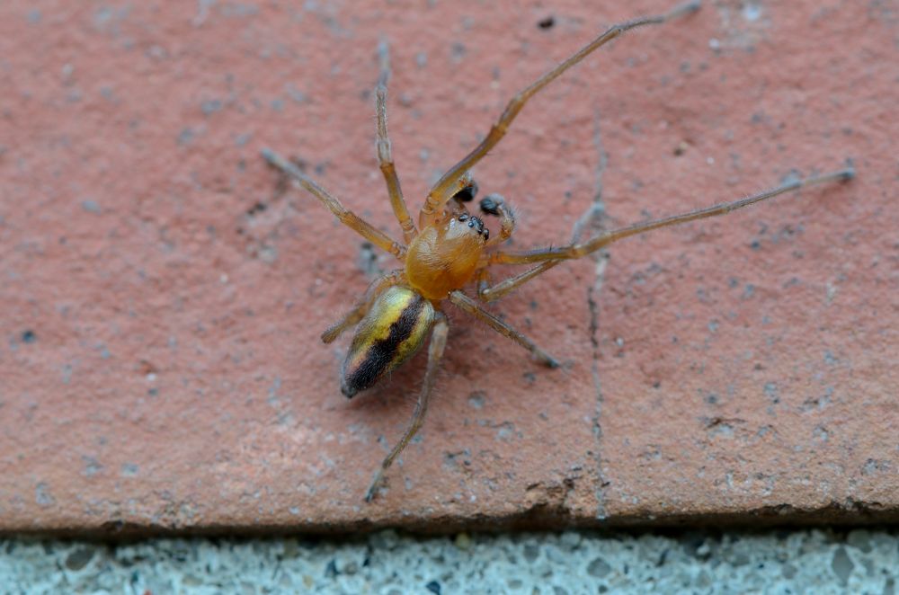 DSC_9790.JPG