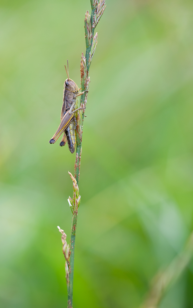 D7A_6700.jpg