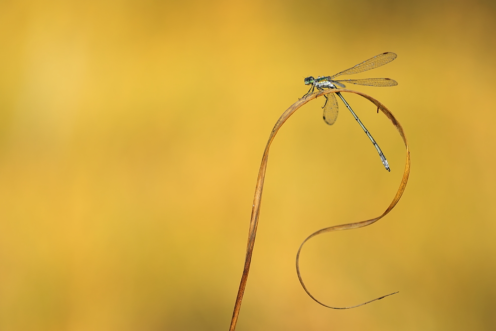 03.10.2011-moor 134.JPG