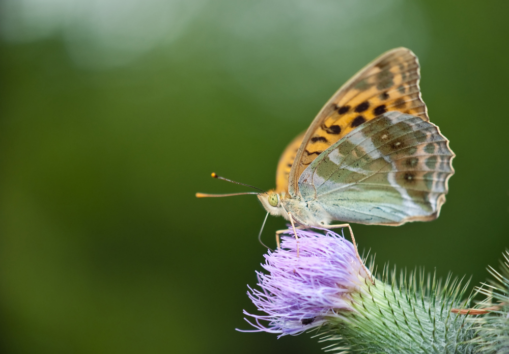 12.07.jpg