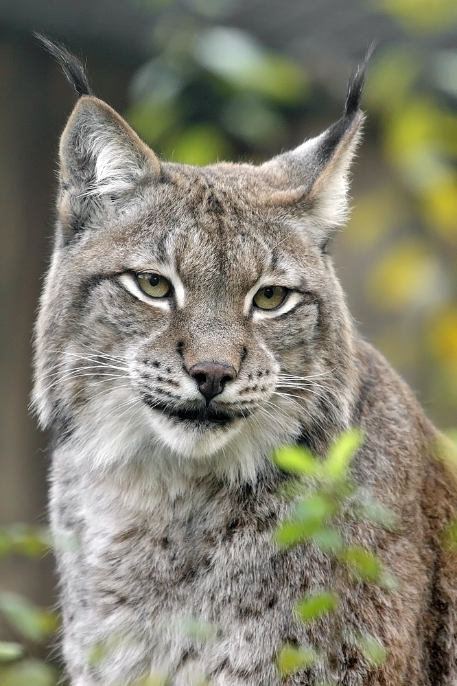 03.11.2011.zoo-2 094.JPG