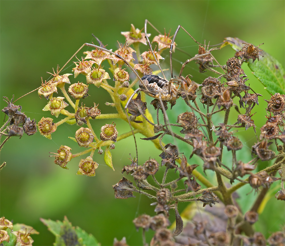 PS_P9095630.jpg