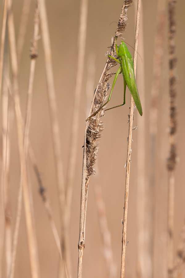 Cliff hanger...-3620.jpg