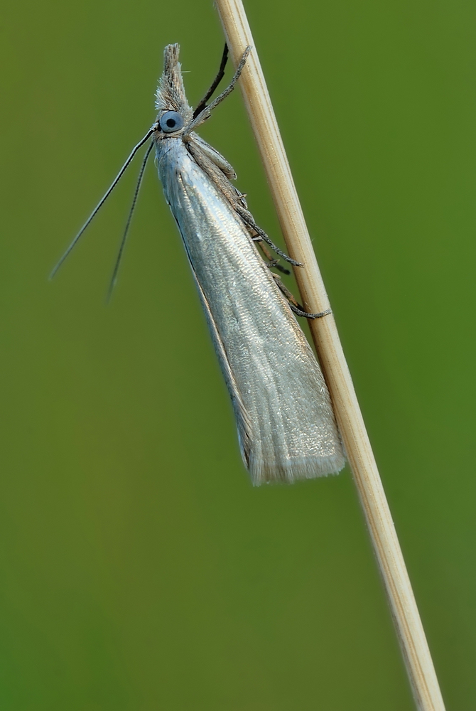 comp_DSC_05571.jpg