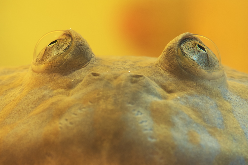 D90_6876.jpg