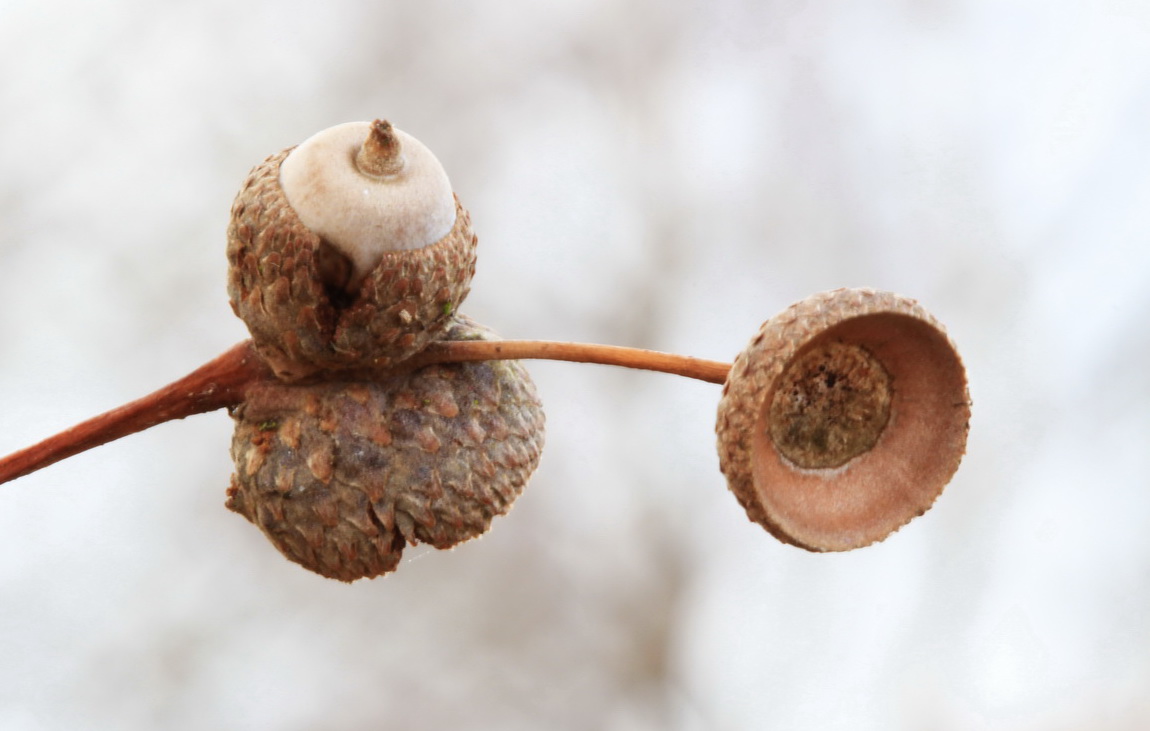 20120115_35-3-1Konvert1.jpg