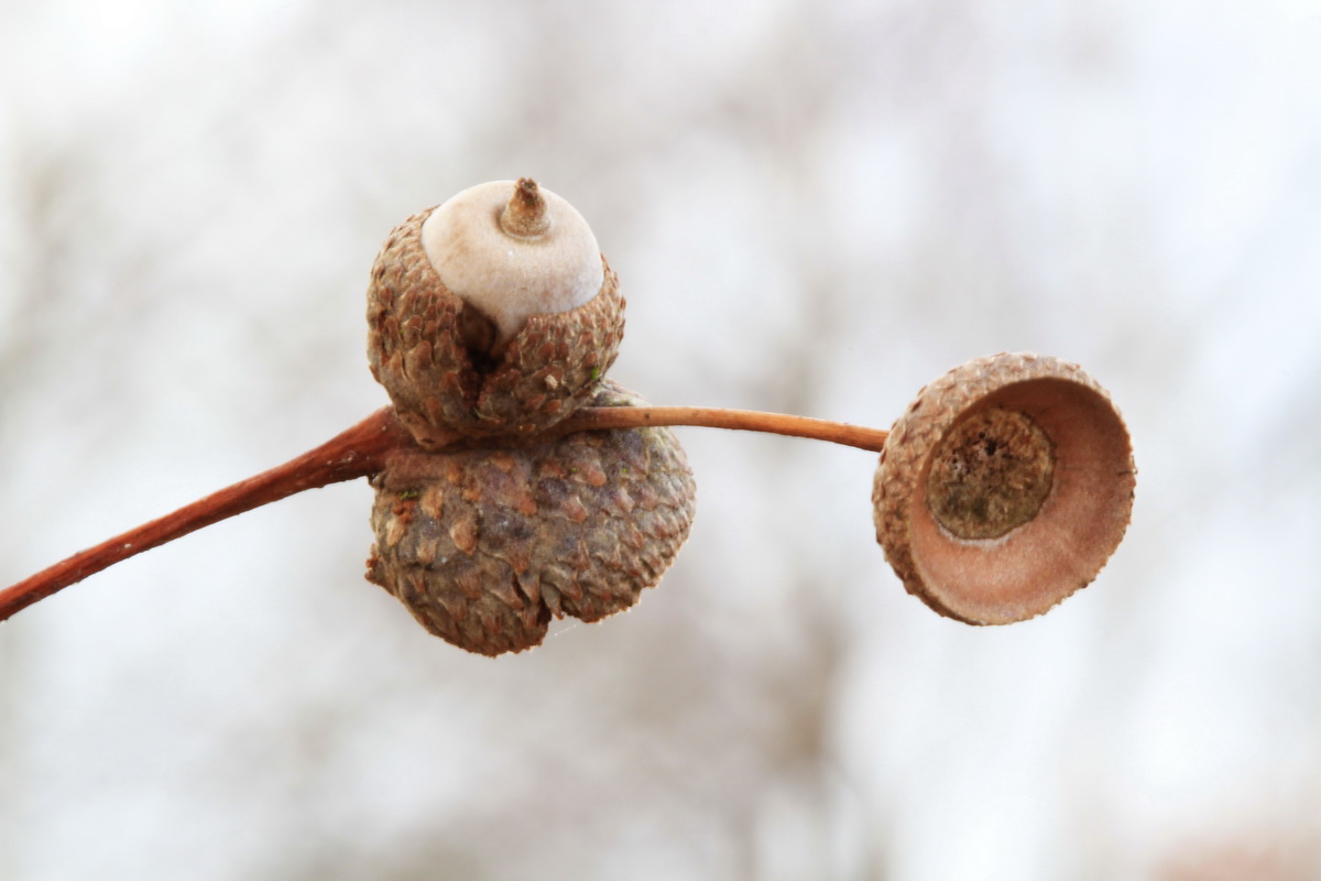 20120115_35-3konvert.jpg