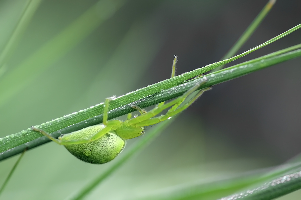 05.06.2011-moor 122.JPG