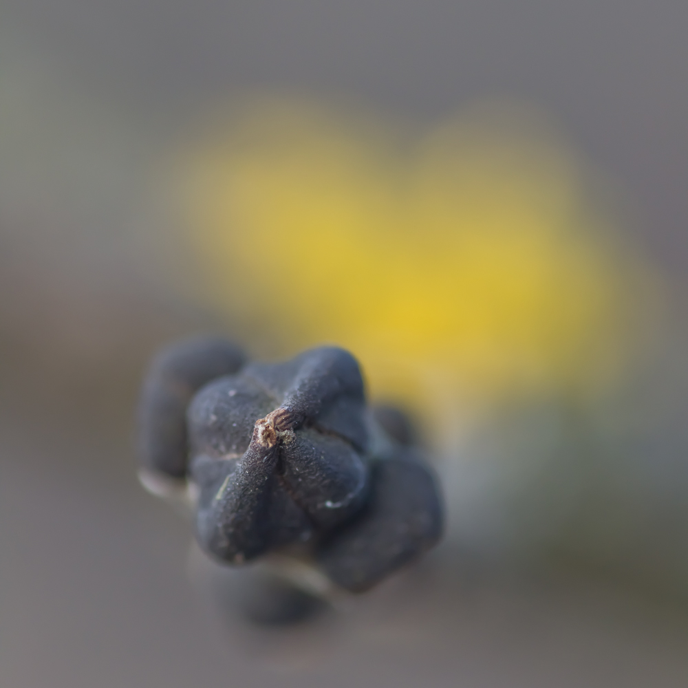 Tour_22012012-052.jpg