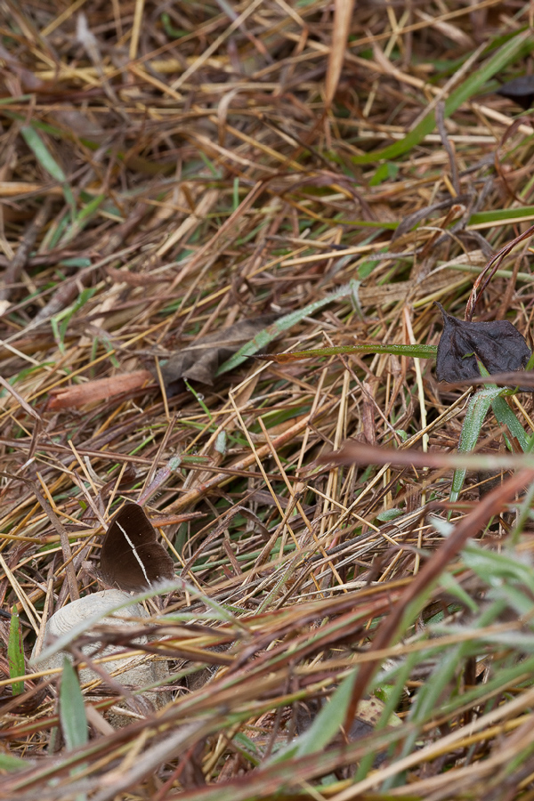 20111220-IMG_5159.jpg