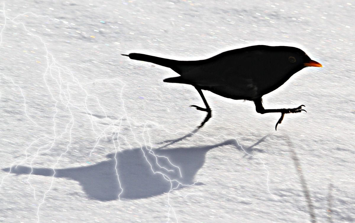 OnTheRun.jpeg