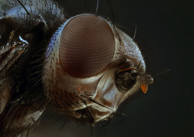 2012-02-29-14.06.43 ZS retouched_6_filtered_2.jpg