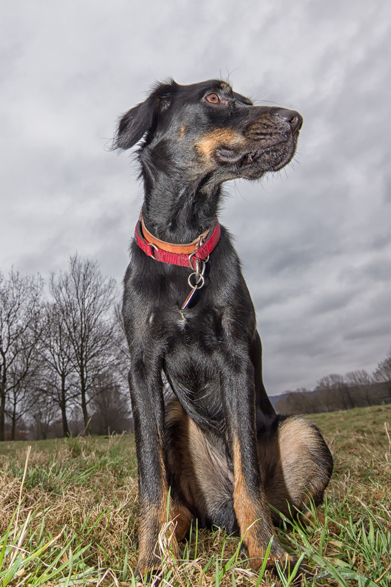 F25G8238-Bearbeitet.jpg