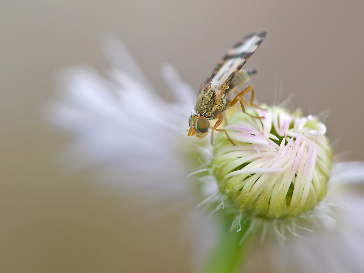 PS_neu_PS_PB067520.jpg