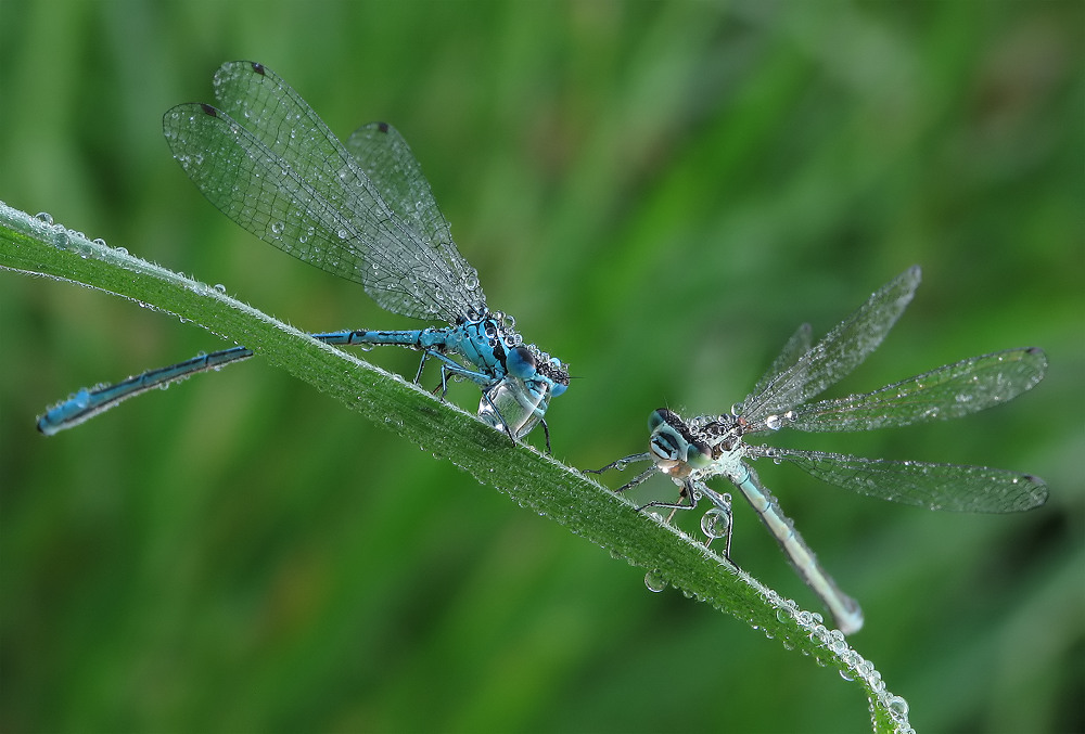 paar8 Kopie_filtered.jpg