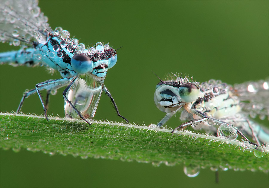 paar6 Kopie_filtered.jpg