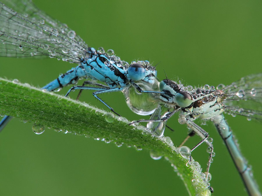 paar11 Kopie_filtered.jpg