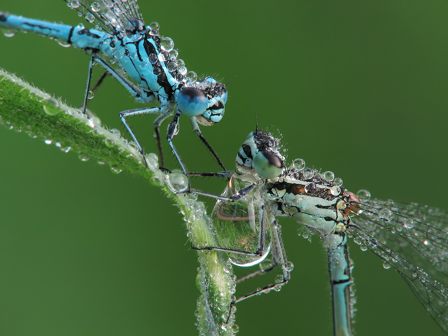 paar10 Kopie_filtered.jpg