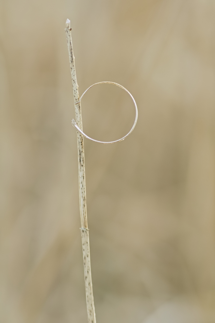 D90_7834-v2.jpg