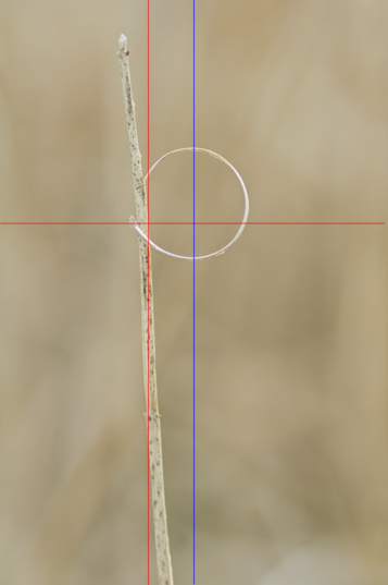 -Analyse.jpg