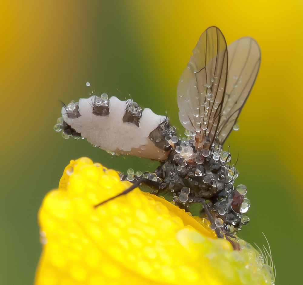 2012.05.06 05-50-37 0482 Zuschnitt.jpg