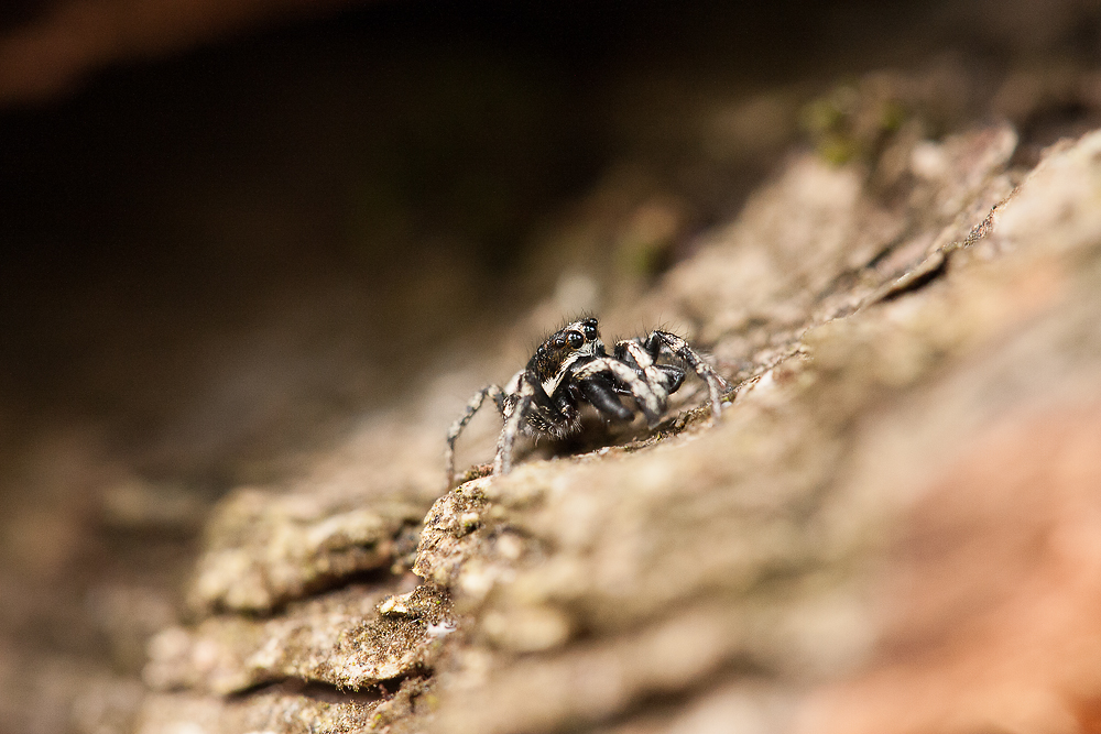 2012.05.20 13-14-45 0754-Bearbeitet.jpg