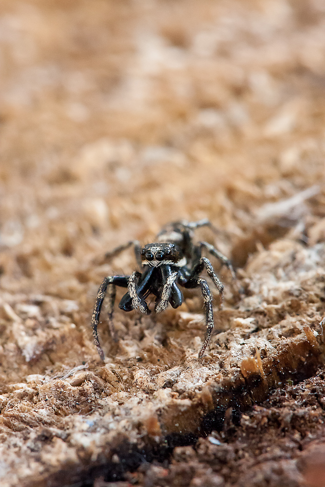 2012.05.20 13-04-30 0697-Bearbeitet.jpg