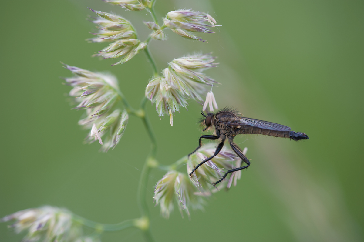 D7A_9074.jpg