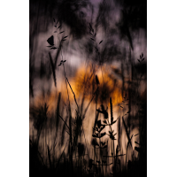 P3773597_02.jpg (Caro_La)