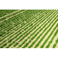 Naturfotografie Makro Forum De
