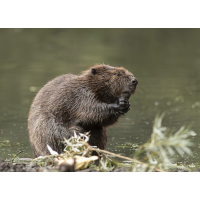 20220907_0205 Kopie 2.jpg (wildfarben)