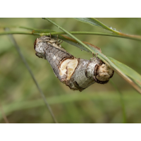 2026-07-01 15-30-25 (A,R11,S1).jpg (Christoph)