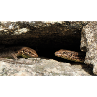 2025-11-12_12-43-42_PB120045_klein.JPG (bachprinz1)