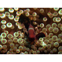 warme Gefilde
(bachprinz1) 2025-04-08_08-41-02_IMG_5316_filtered_klein.jpg (bachprinz1)